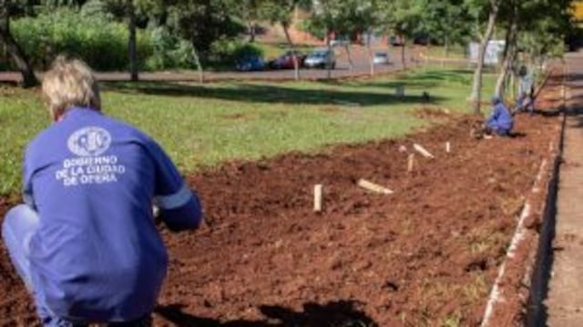 Oberá: modernizan la avenida Picada Vieja.