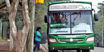 Oberá: paro transporte urbano de pasajeros