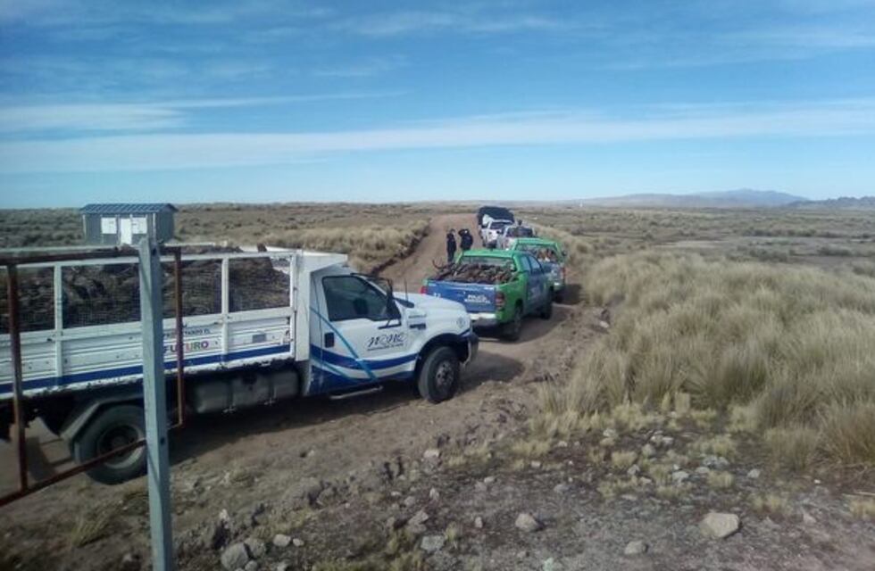 Entrega de leña a familias de Pampa de Achala
