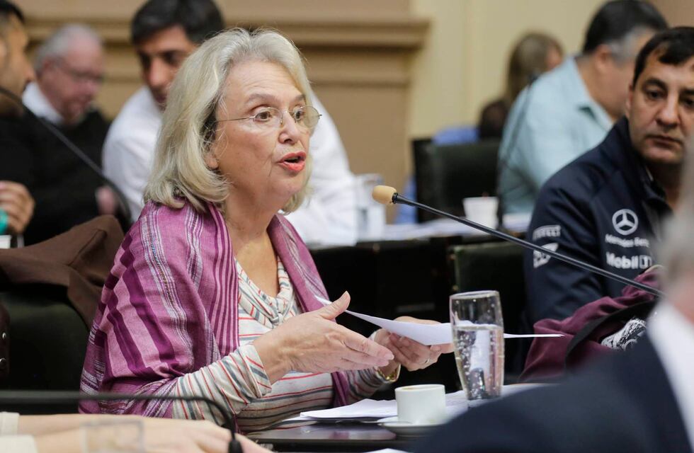 Para una diputada salteña, la labor legislativa en pandemia se compara con el nacimiento de Jesús y la Revolución Francesa