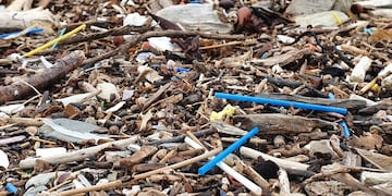 Contaminación plástica en las costas del Canal Beagle - Ushuaia.