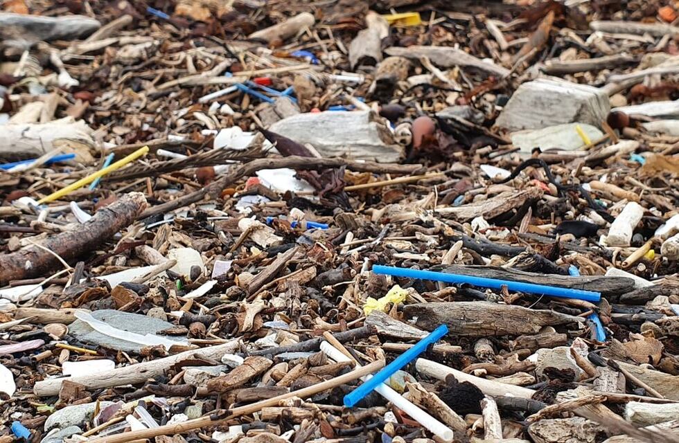 Histórico: Ushuaia es la primera ciudad del país que prohíbe los hisopos plásticos para reducir la contaminación