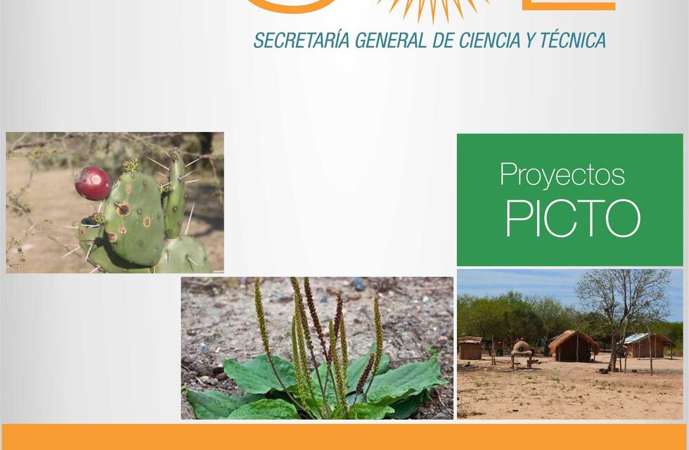 Nueva edición de la revista Sol de la UNNE presenta proyectos de El Impenetrable