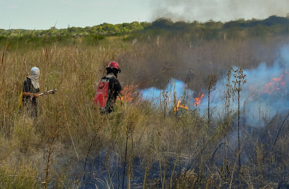 Realizarán un documental sobre los incendios en Corrientes para un medio de Francia