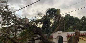 Temporal en Tartagal