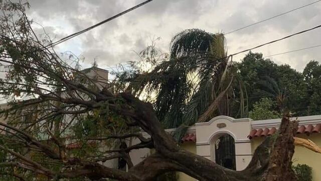 Temporal en Tartagal