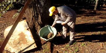 Control de vectores en distintos barrios de Eldorado.
