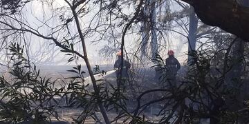 Un incendio fue controlado por los bomberos en el ingreso a Claromecó (foto: facebook/ Billy Wilson)