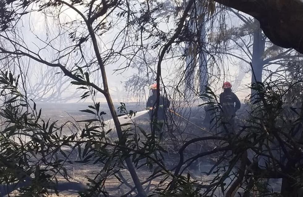 Un incendio fue controlado por los bomberos en el ingreso a Claromecó