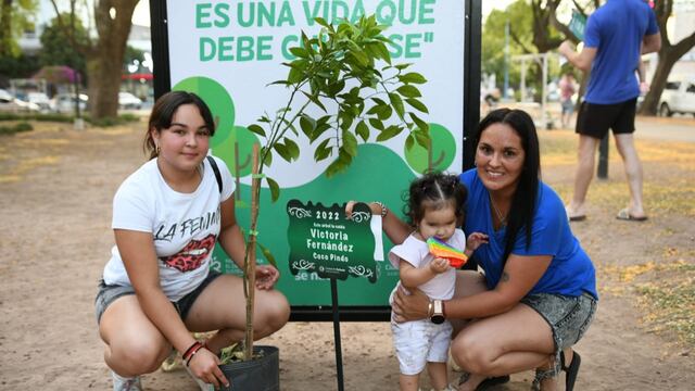 Entrega de árboles y placas del programa "Crecer Juntos"