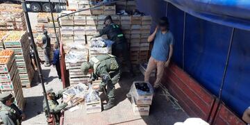 Personal de Genmdarmería Nacional procede al secuestro de los bultos con hojas de coca que venían ocultos entre una carga de berenjenas que venía de Salta. Gentileza GN