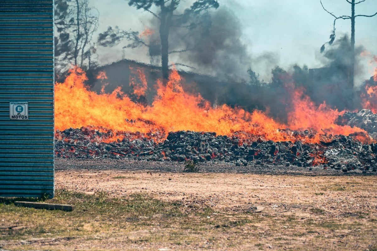 Siniestro en el Clúster del Acceso Sur: fuerte despliegue de Bomberos para controlar un incendio