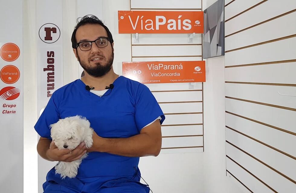 Cómo cuidar la salud emocional de nuestras mascotas