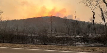 En primer plano, el follaje reducido a cenizas. a la vera de la ruta. Atrás, el fuego consume el monte, en la región de Yuto, Caimancito y aledaños.