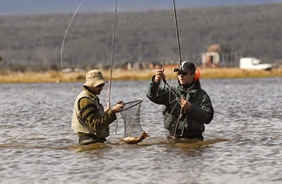 Clase abierta de lanzamiento con Mosca