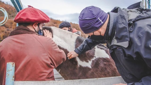 La iniciativa impulsada por la Municipalidad, deriva del cumplimiento de la Ordenanza Municipal N° 4.051, que obliga a la identificación de dichos animales.