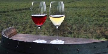CyberWine 2025: cuándo y cómo comprar vinos premium a mitad de precio (Europa Press)