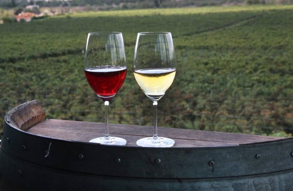 CyberWine 2025: cuándo y cómo comprar vinos premium a mitad de precio