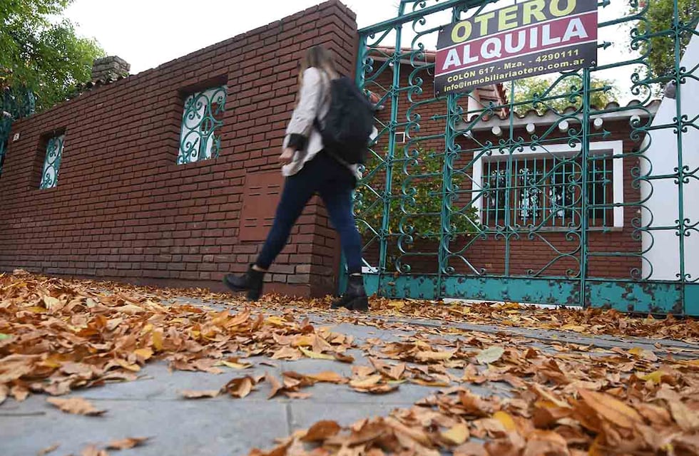 El DNU de Milei: uno a uno, cómo afectan los cambios a la vida cotidiana de los ciudadanos
