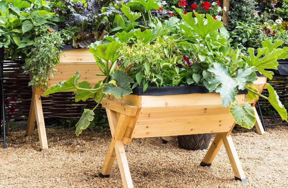 Qué es “Entre Viveros” la iniciativa en Tandil que fomenta la producción local