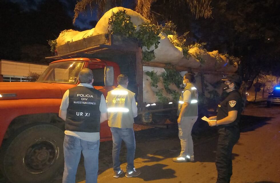 Decomisaron un camión cargado con 4 mil kilos de yerba en Aristóbulo del Valle