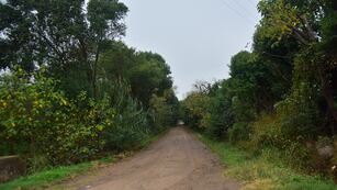 Crimen en barrio La Carbonada, Córdoba. (Pedro Castillo / La Voz)