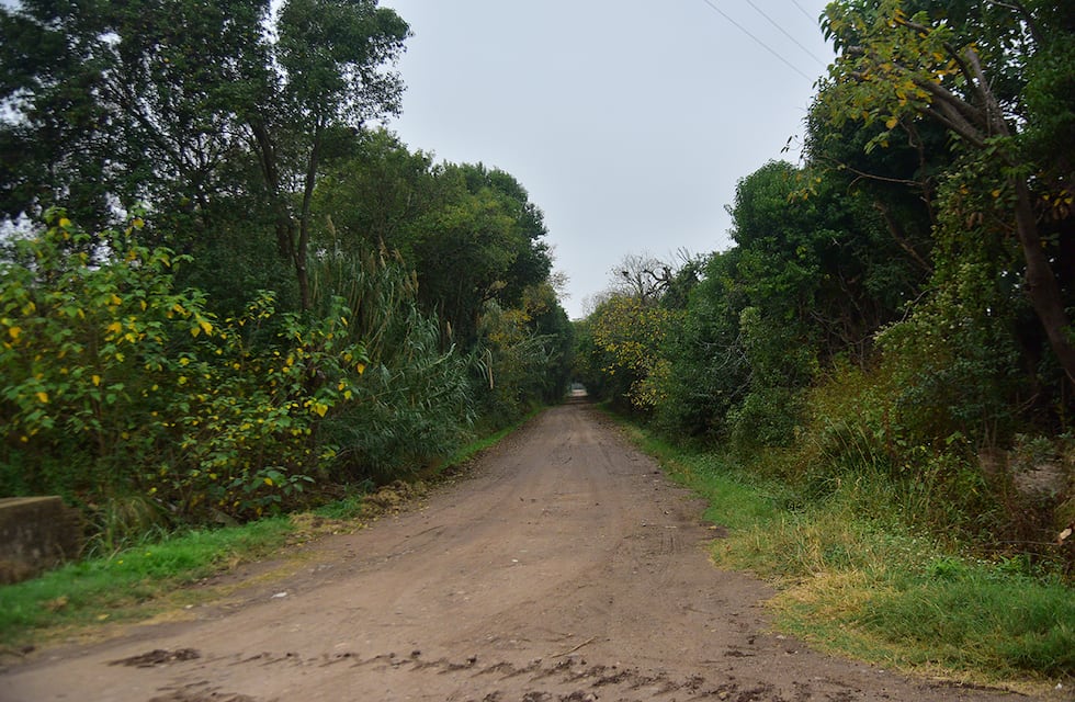 Lo detuvieron por asesinar a balazos y cortes a un hombre en Córdoba: hay un prófugo
