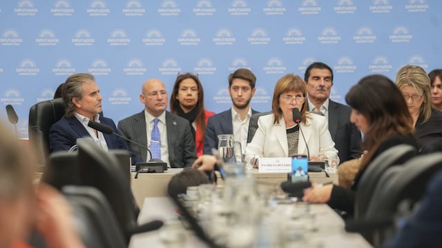 La ministra de Seguridad, Patricia Bullrich, expuso en la Comisión de Presupuesto (Foto: HCDN)