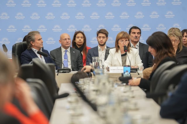 La ministra de Seguridad, Patricia Bullrich, expuso en la Comisión de Presupuesto (Foto: HCDN)
