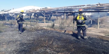 El incedio provocó pérdidas cuantiosas en la Avícola Monte en Monte Comán.
