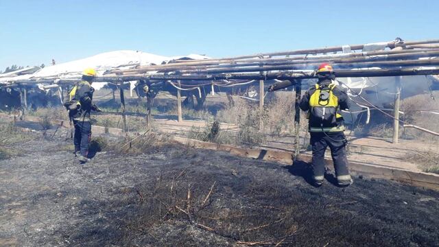 El incedio provocó pérdidas cuantiosas en la Avícola Monte en Monte Comán.