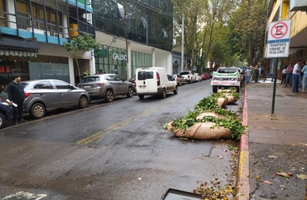 Productores yerbateros misioneros exigen la restitución del INYM y la suspensión de importaciones