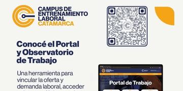 Desarrollado por profesionales locales, el sistema busca conectar talentos con necesidades reales del mercado.