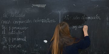 Docente
Foto: Orlando Pelichotti / Los Andes