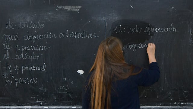 Docente
Foto: Orlando Pelichotti / Los Andes
