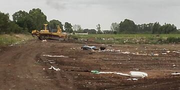 La Subsecretaría de Servicios Públicos realiza diferentes trabajos de mantenimiento de espacios verdes en distintos puntos de la ciudad