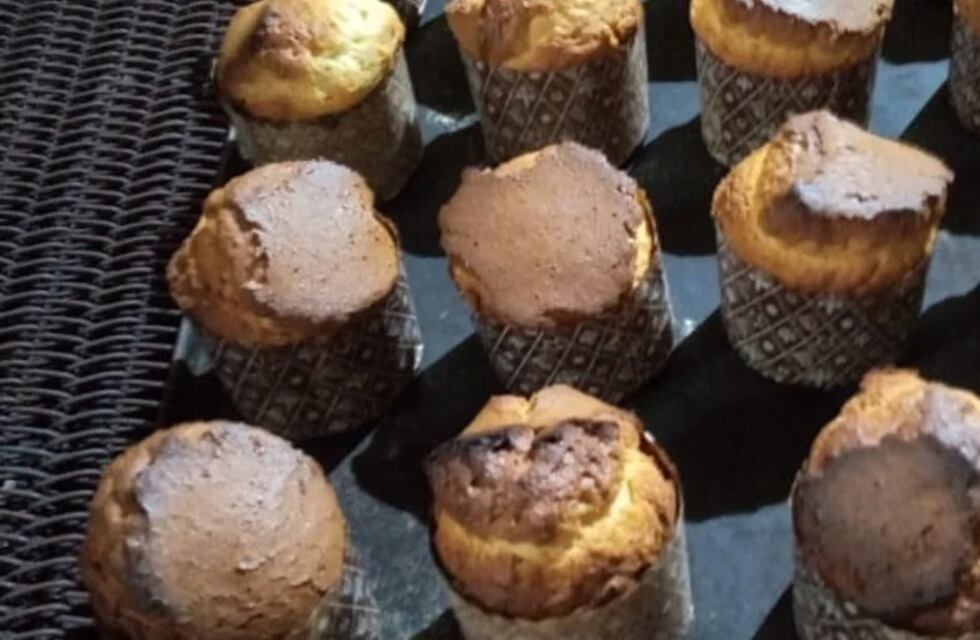 Un proyecto busca combatir la desnutrición en Salta con un alimento proteico