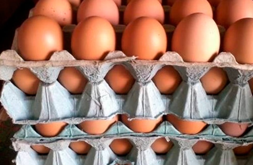 Maple de huevos, el truco definitivo para ahuyentar a los mosquitos: ¿cómo se usa?