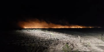 Se incendiaron más de 110 hectáreas de Chubut a causa de un cigarrillo mal apagado