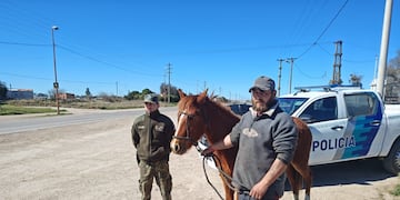 CPR de Tres Arroyos halla potranca extraviada