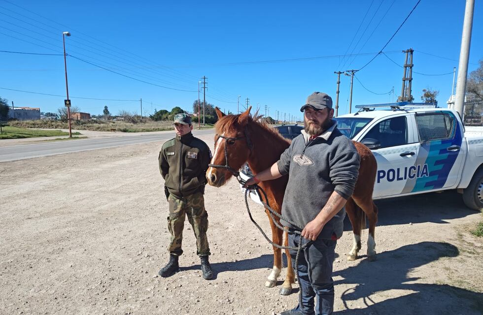 CPR de Tres Arroyos halla potranca extraviada