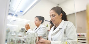 En Ugaccop en Alvear se dicta la tecnicatura en Biotecnología.