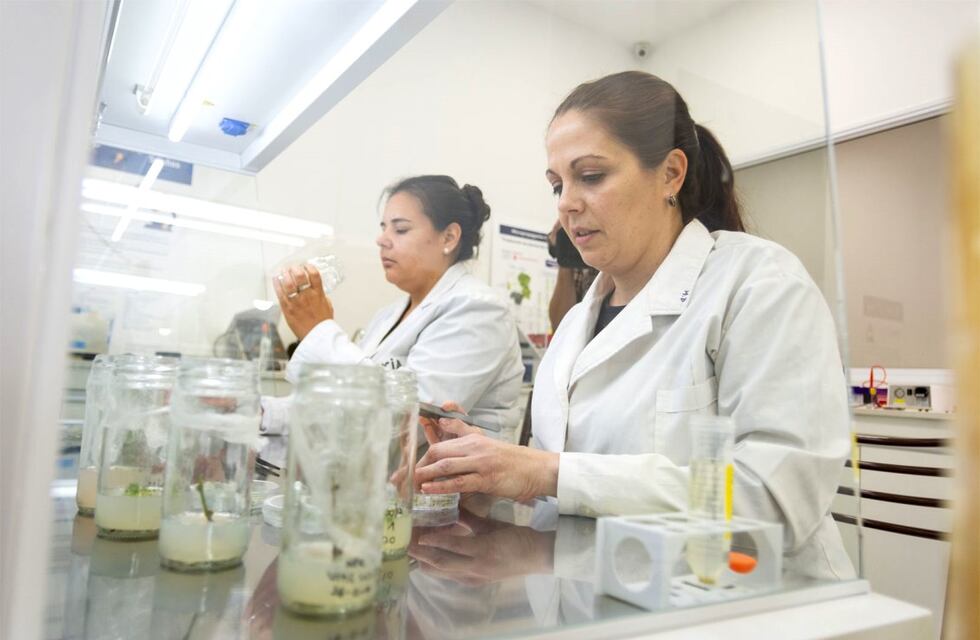 En el ciclo lectivo 2022 las carreras en Ugacoop son gratuitas