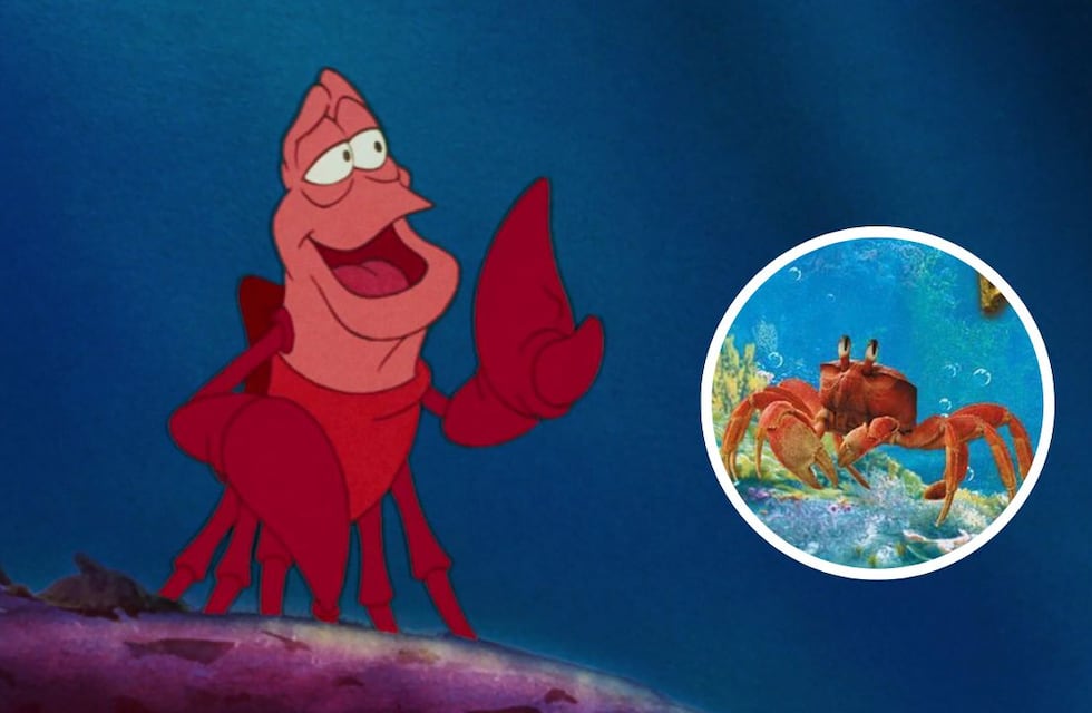 La Sirenita Live Action: Se filtró cómo va a ser Sebastián en el remake y los fans están indignados