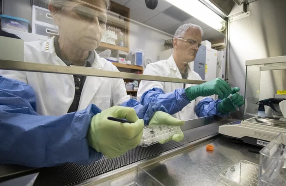 Histórico: científicos lograron sembrar en el suelo de la Luna