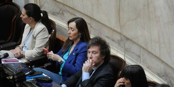 El libertario Javier Milei votó a favor de la devolución del IVA en Diputados (Foto: Federico López Claro)