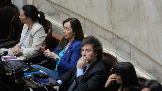El libertario Javier Milei votó a favor de la devolución del IVA en Diputados (Foto: Federico López Claro)