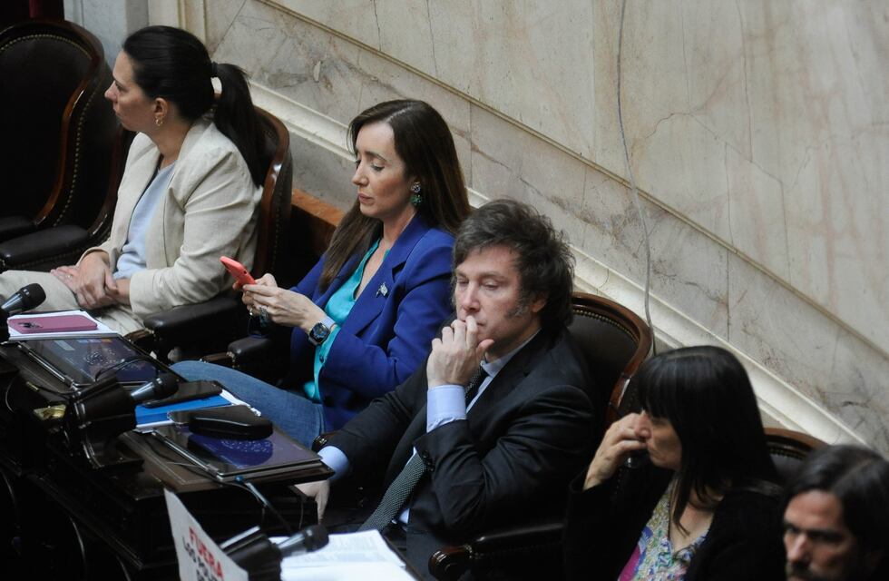 Con apoyo de Milei, el oficialismo aprobó en Diputados el “Compre sin IVA” impulsado por Massa