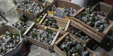 Subsecretaría de Prensa y Difusión - Gobierno de Santiago del Estero.