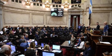 El Senado aprobó una reforma a la Ley de DNU (Foto: Comunicación Senado)